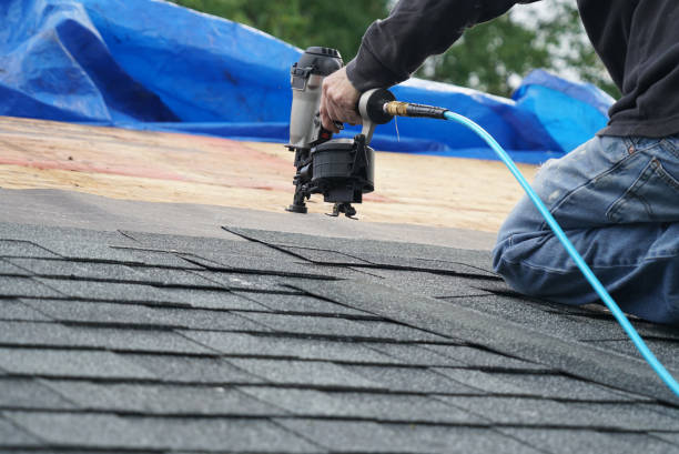Best Roofing Contractor Near Me  in Terrell, TX