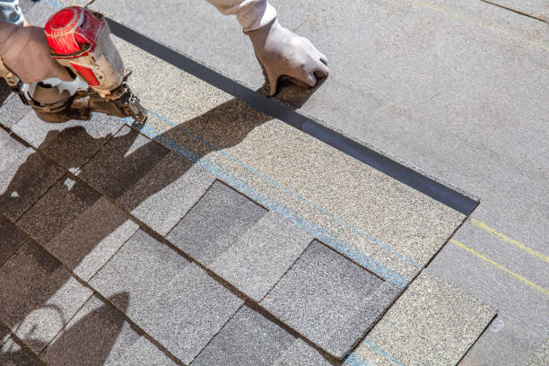 Best Gutter Installation and Roofing  in Terrell, TX