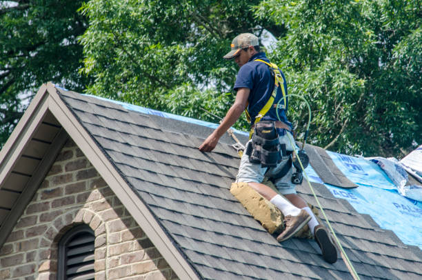 Best Storm Damage Roof Repair  in Terrell, TX